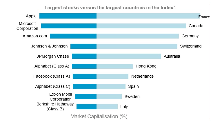 Largest stocks versus the largest countries in the index*