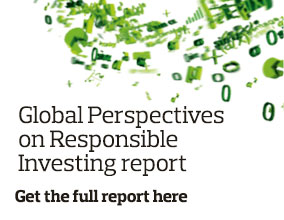 Global Perspectives on Responsible Investing is now available