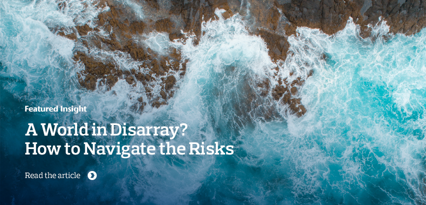 A World in Disarray? How to Navigate the Risks